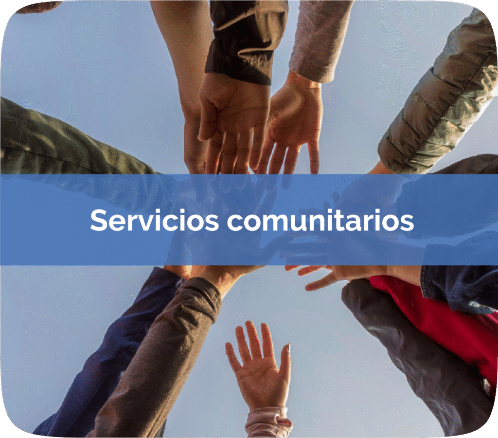 Cursos Servicios Comunitarios